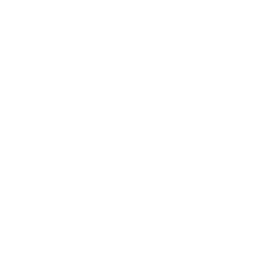 Data Validation Manager logo